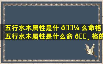 五行水木属性是什 🐼 么命格「五行水木属性是什么命 🕸 格的人」